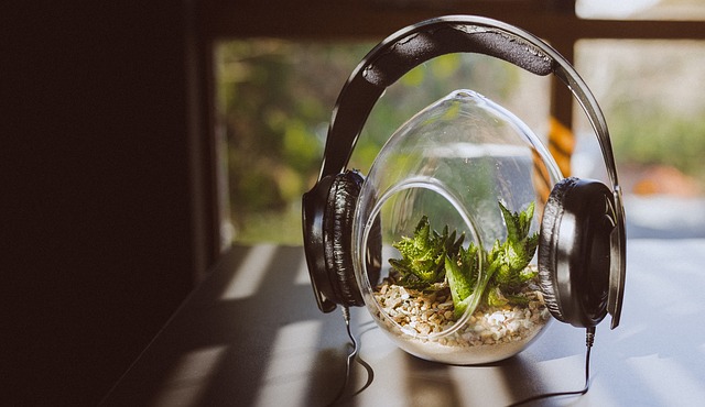 do plants grow better with music