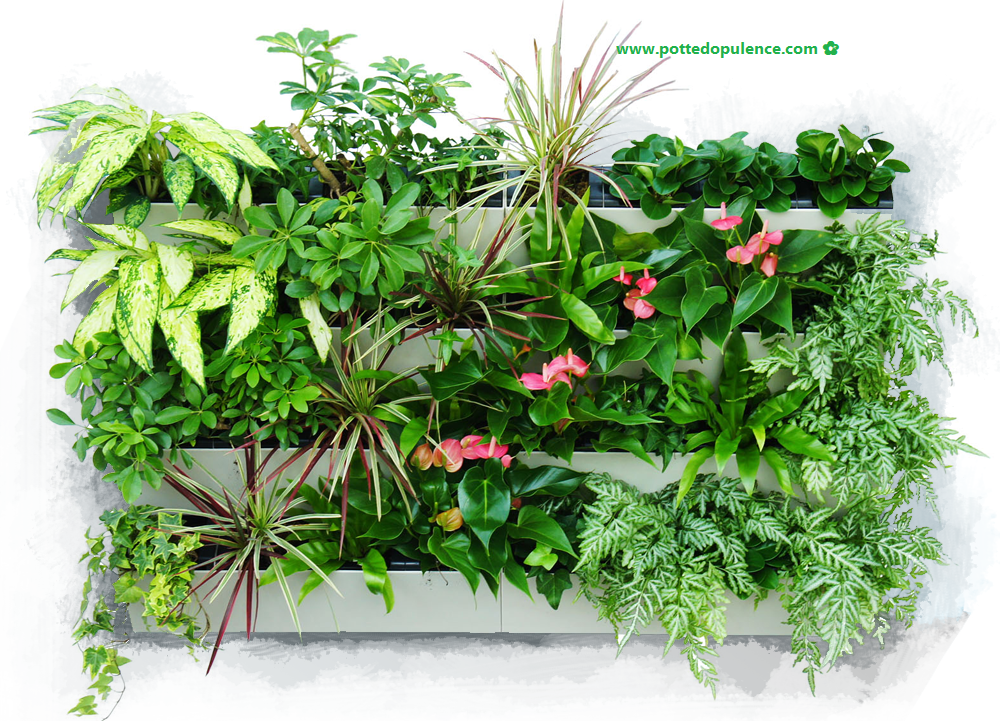 vertical living wall planters 