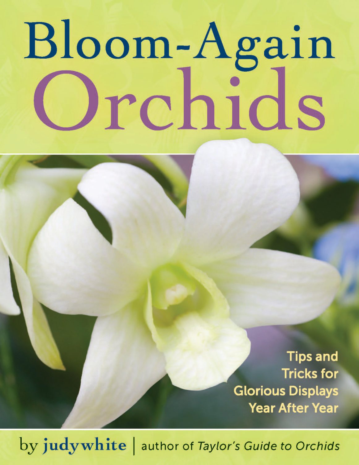 make my orchid bloom again