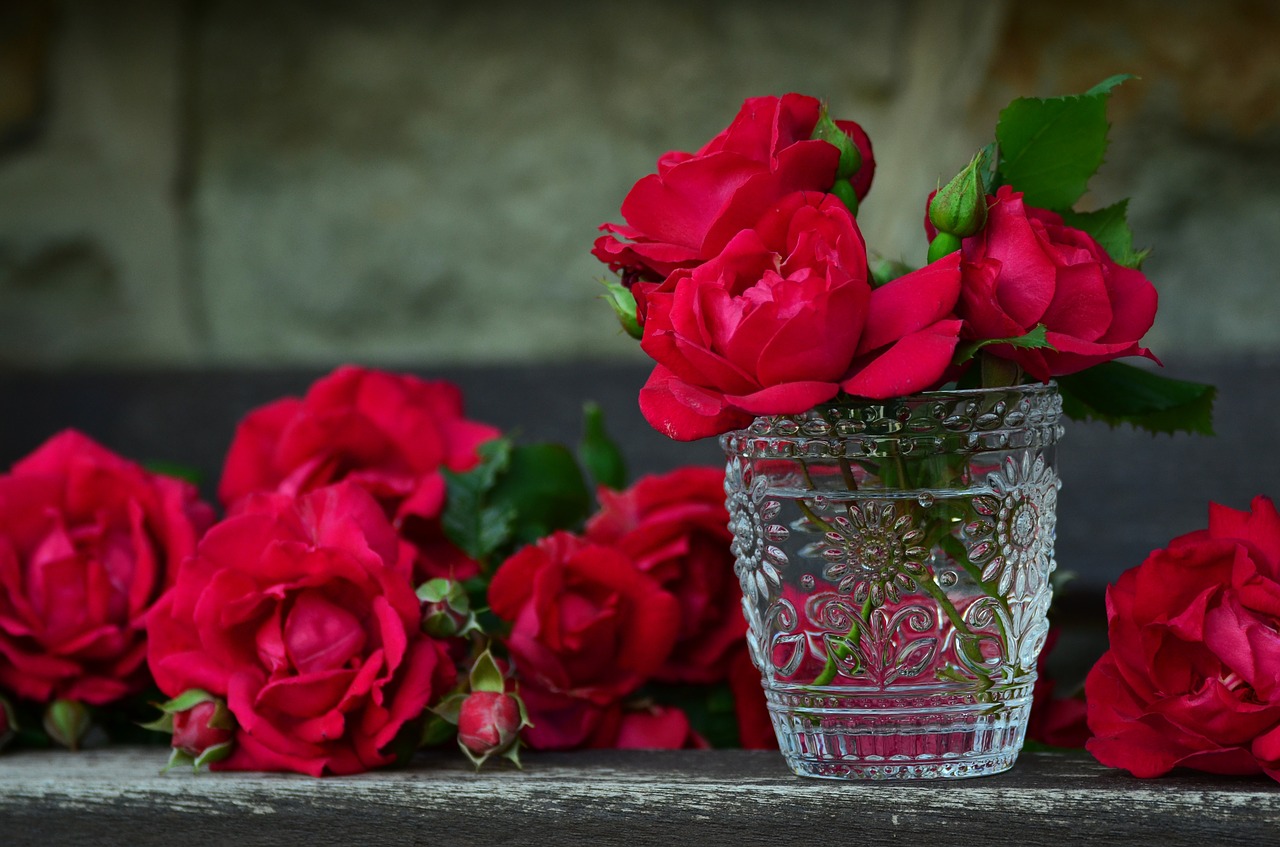 red roses in glass