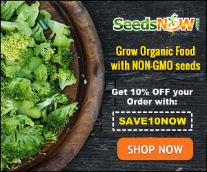buy seeds now