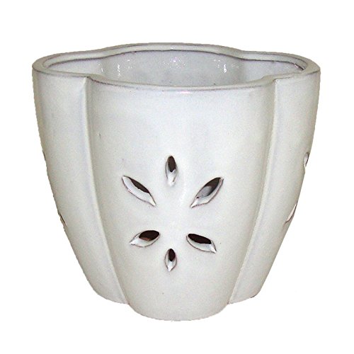 repot me white ceramic orchid pot