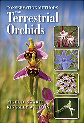 terrestrial orchids