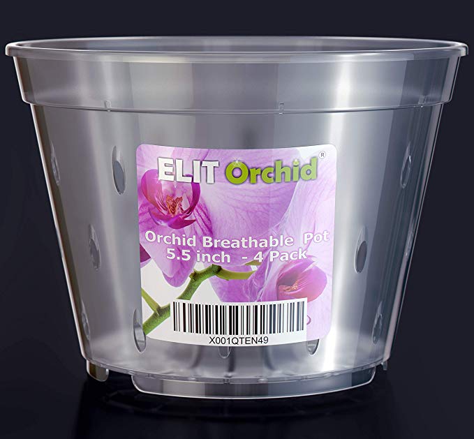 Elit Orchid 5.5 inch pots