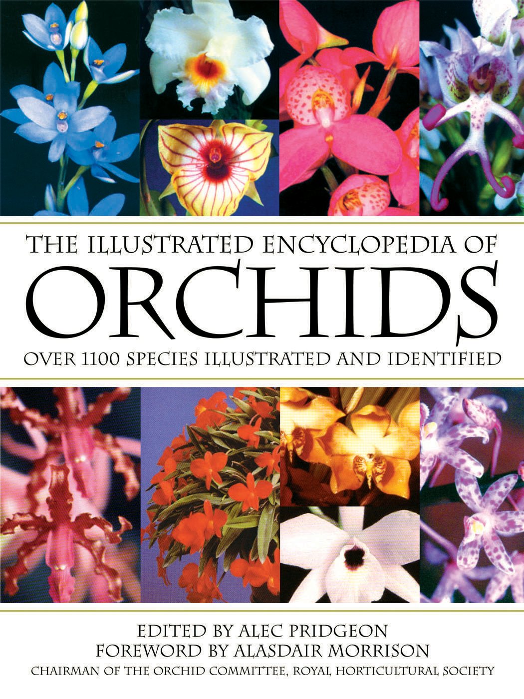 illustrated orchid encyclopedia