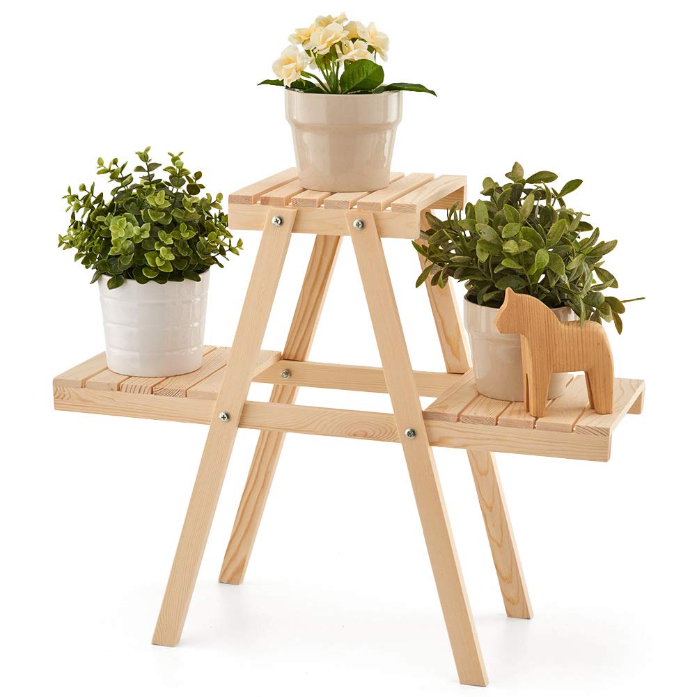 orchid display stand