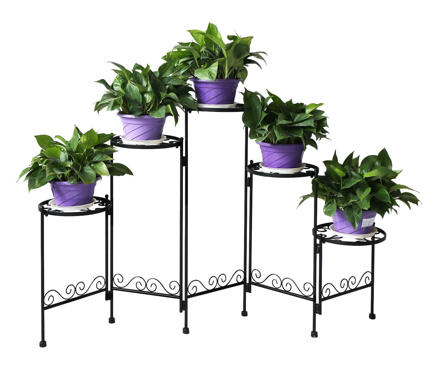 orchid display stand
